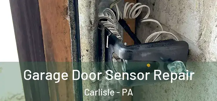 Garage Door Sensor Repair Carlisle - PA