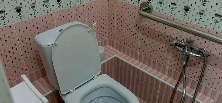 Meeting Diverse Needs With Accessible Restroom Solutions in Carlisle, PA